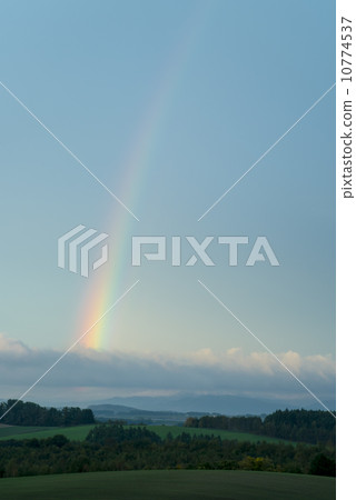Rainbow hill 10774537