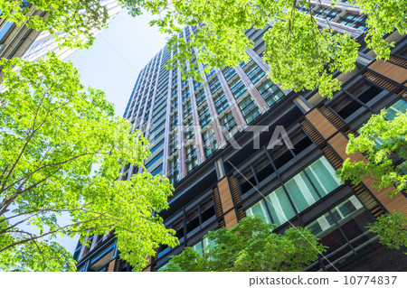 Fresh green Marunouchi district Fresh green Marunouchi district 10774837