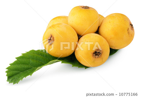 bunch of medlars 10775166