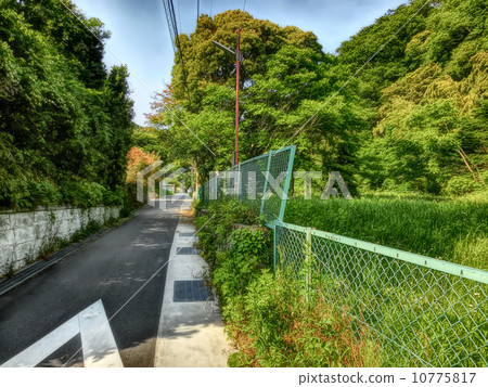 在鎌倉的道路下的2丁目Yukinooshita 在鎌倉的道路下的2丁目Yukinooshita 10775817