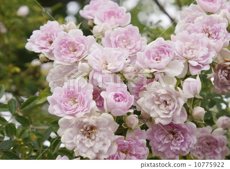 攀登02 攀登02 10775922