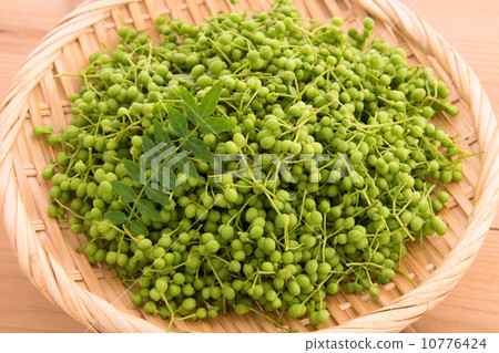 Real Japanese pepper 10776424