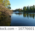 Ino-ko Park 10776601