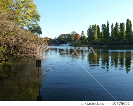 Ino-ko Park 10776601