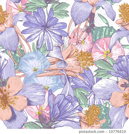 Summer seamless pattern with wildflowers. Summer seamless pattern with wildflowers. 10776810