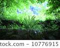 Fresh green 10776915