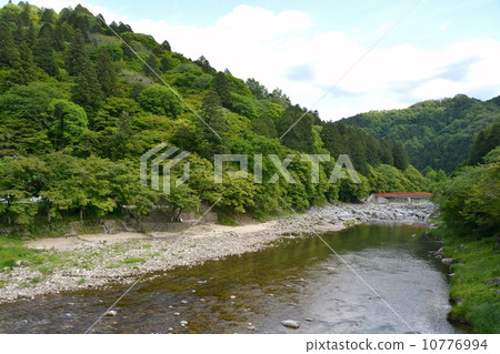 科樂美河的春天 10776994