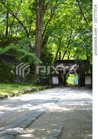 Spring Kaori-ji Temple at Kastan River 10777014