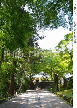 Spring Kaoriji Temple of Karamanoseki 10777017