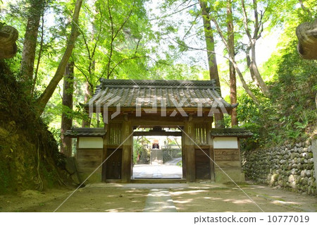 Spring Kaori-ji Temple at Kastan River 10777019