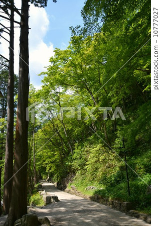 Spring of Konami River 10777027