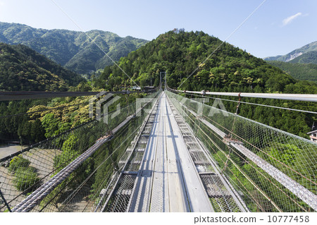 Tanze吊橋 10777458