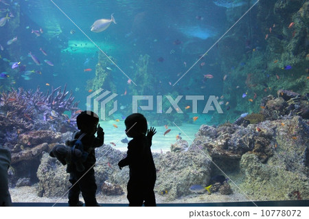 Aquarium and boys Aquarium and boys 10778072