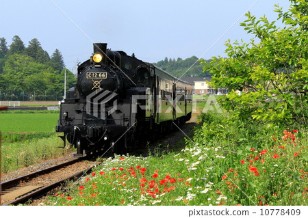Moka Railway “Hana to SL Moka” 10778409