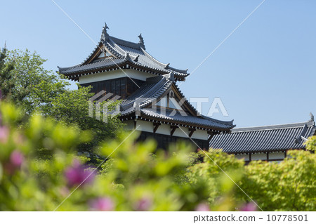 Major turret and azalea of Koriyama castle ruins Major turret and azalea of Koriyama castle ruins 10778501