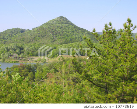 Arima Fuji (Arima Fuji Park) 10778619