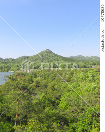 Arima Fuji (Arima Fuji Park) 10778626