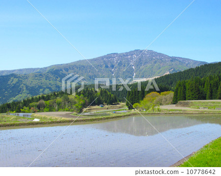 Temple rice terrace in Akinomiya "Hikioyama Toyama Nagiyama National Monument Park" 10778642