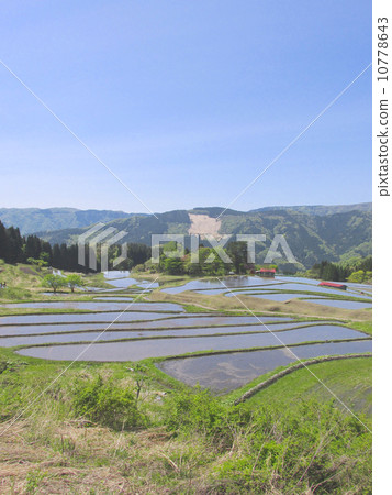 Temple rice terrace in Akinomiya "Hikioyama Toyama Nagiyama National Monument Park" 10778643
