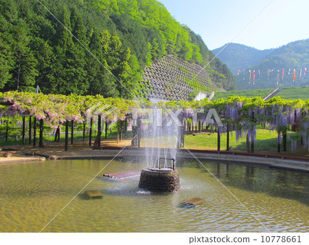 Shiroi Omachi Fuji Park Fuji（Sanjin no Odori Fuji Park） 10778661