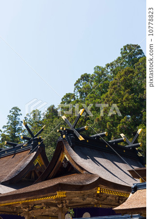 Kumano main shrine 10778823