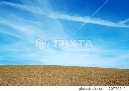 Nice autumn field with clear horizont and blue sky Nice autumn field with clear horizont and blue sky 10779341