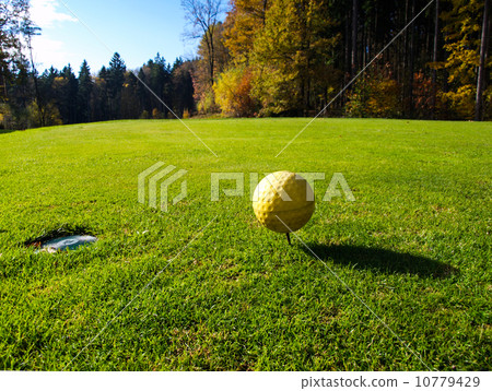 Golf course Golf course 10779429