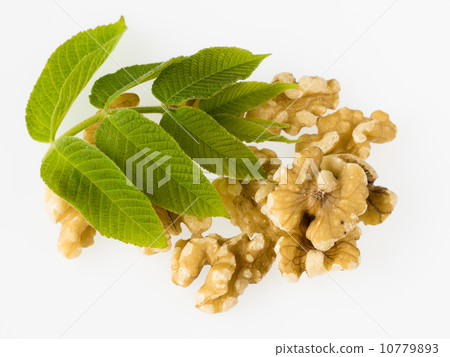 Walnut leaves and nuts Walnut leaves and nuts 10779893