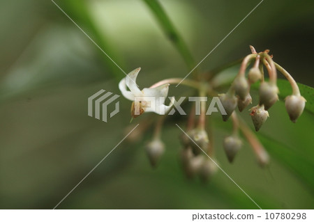 It seems that it has become a snack but it seems that many people I do not know now 10780298