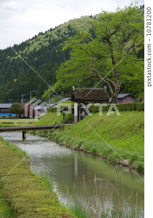 Ichijodani Asakura Clan Ruins 10781200