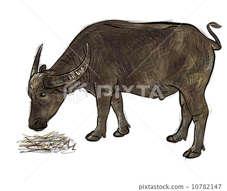 Buffalo eating hay-vector 10782147