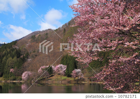 Shinshu Lake Naka lake spring 10782171
