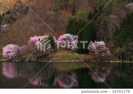 Shinshu Lake Naka lake spring 10782179