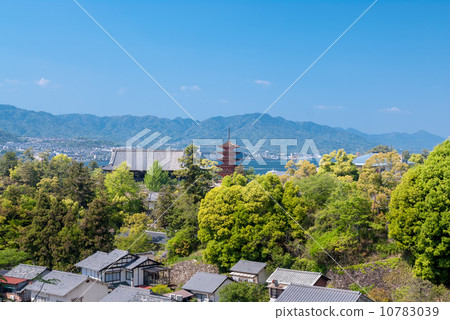 豐國神社和五層寶塔 豐國神社和五層寶塔 10783039