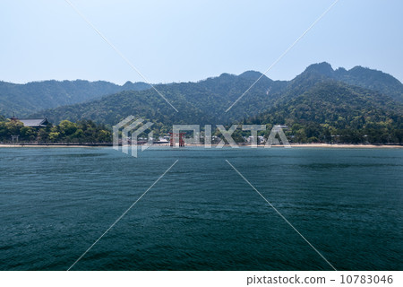 Miyoshima Miyoshima 10783046