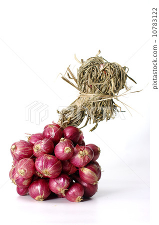 Shallots isolated Shallots isolated 10783122