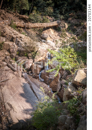 山山 10783144