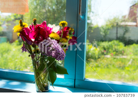 Flowers on the window 10783739