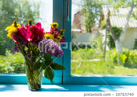 Flowers on the window 10783740