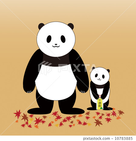 Panda Shichigosan 10783885