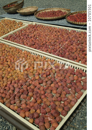 Umeboshi for daily use Umeboshi for daily use 10785501