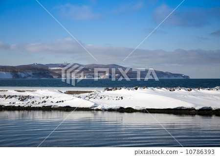 beautiful winter nature of the Abashiri, Hokkaido, Japan beautiful winter nature of the Abashiri, Hokkaido, Japan 10786393