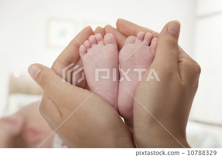 10788329