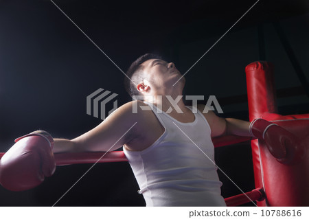 10788616