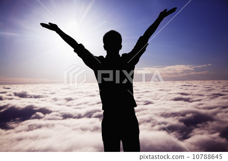 10788645