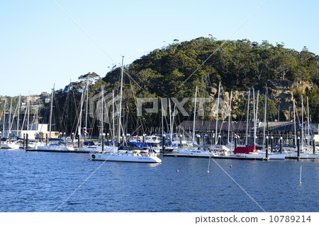 90633 Sydney 10789214