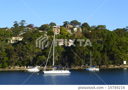 90635 Sydney 10789216
