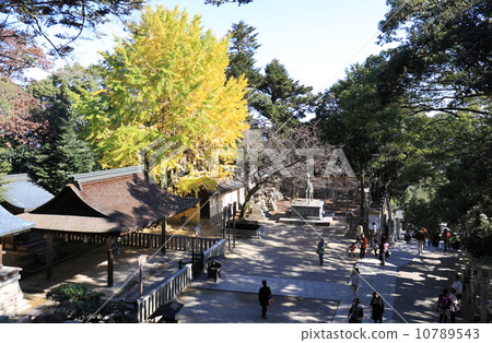 秋天的Kompira-san神社“Exitosha”和接近的道路 10789543