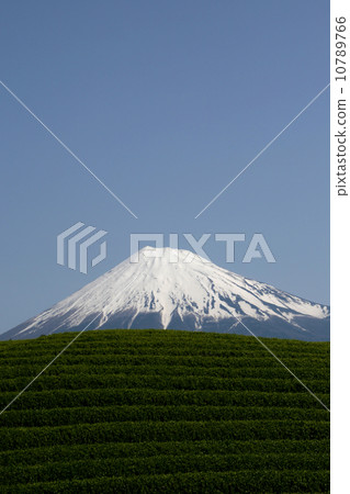Mount Fuji  10789766