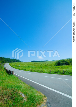 金星線 金星線 10789820